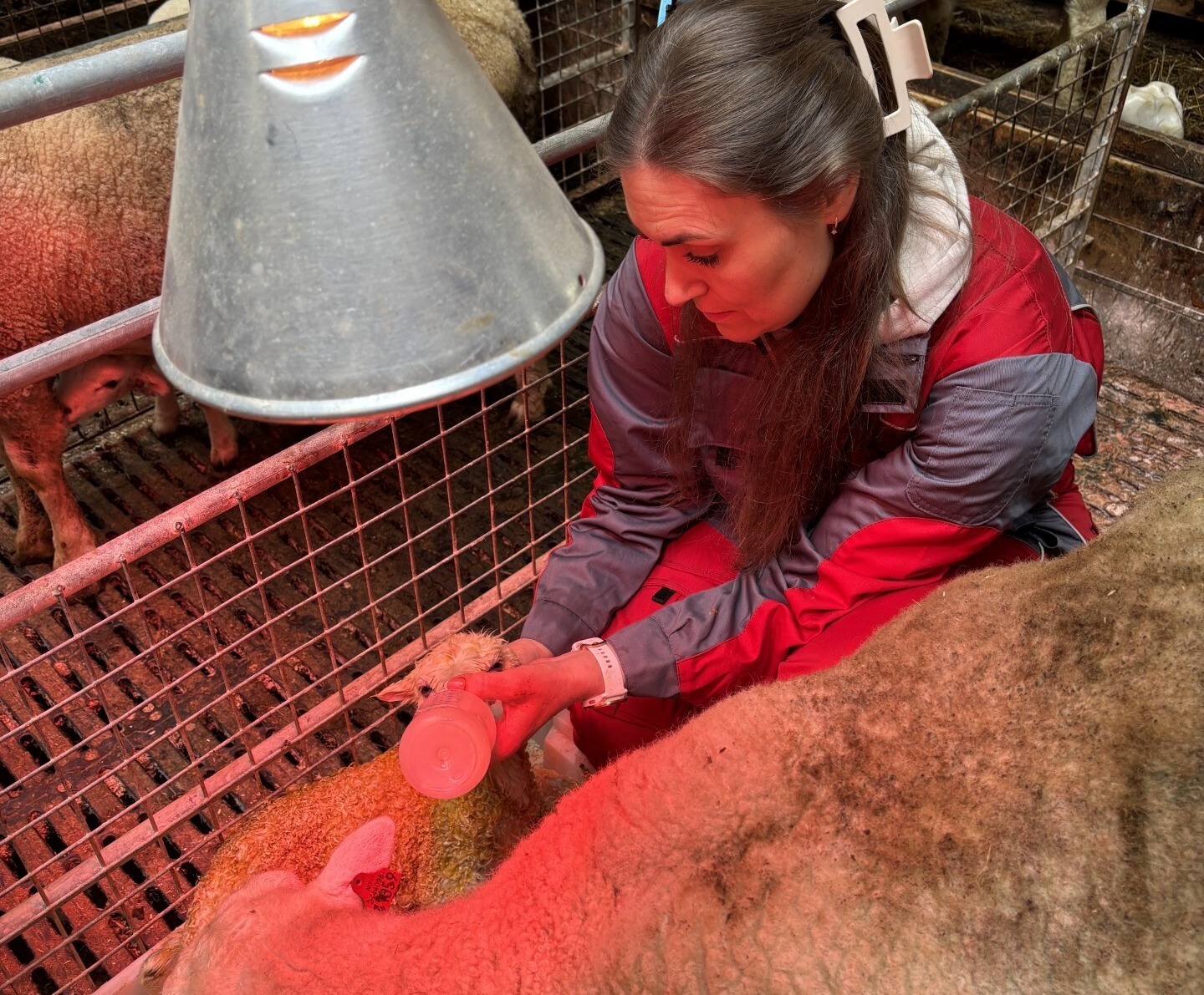 05dd4a8b-08a3-45b5-a7c9-9d943671363f