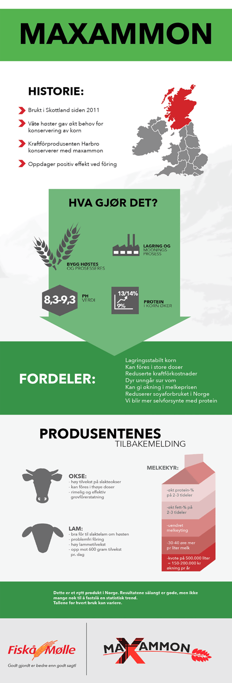 maxammon-infographic (1)