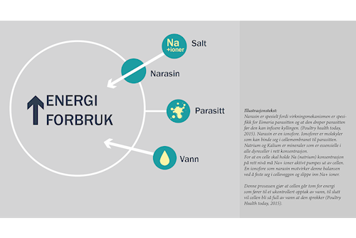 infographic